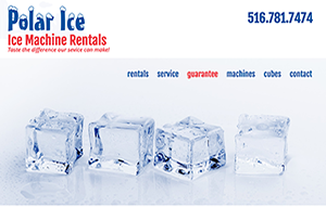 thumbnail for Polar Ice of New York