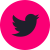Twitter icon
